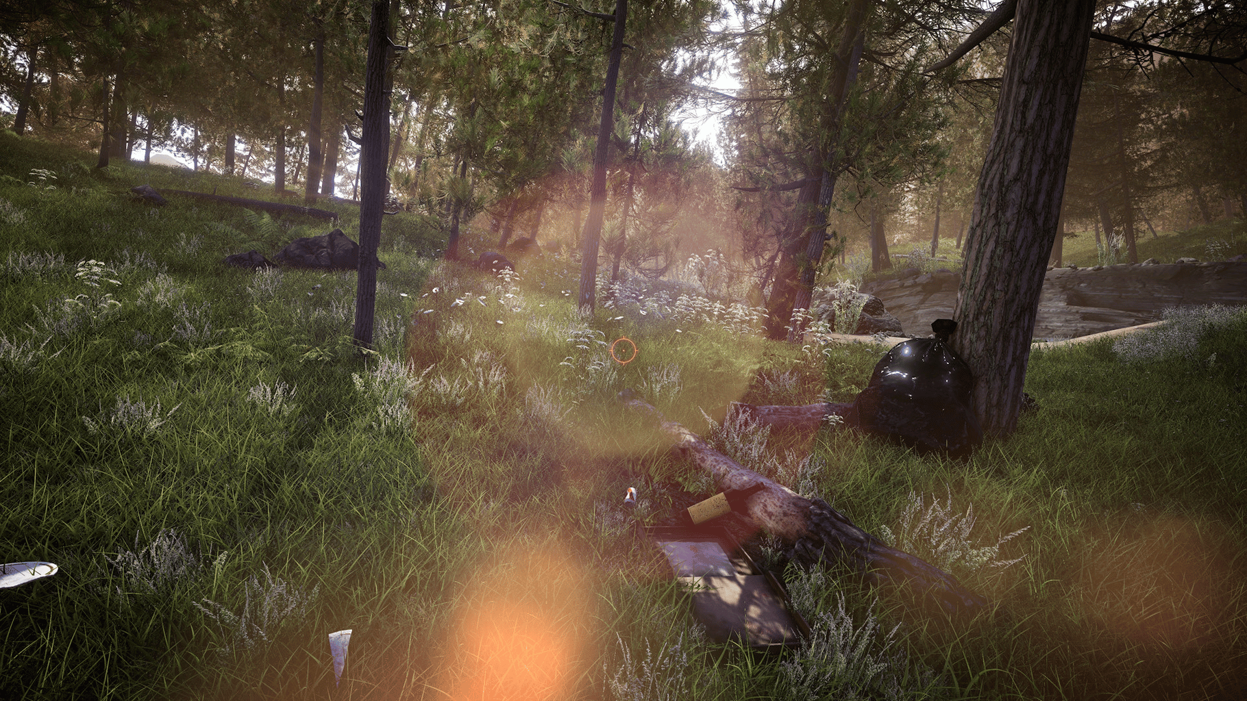 Forest Ranger Simulator screenshot