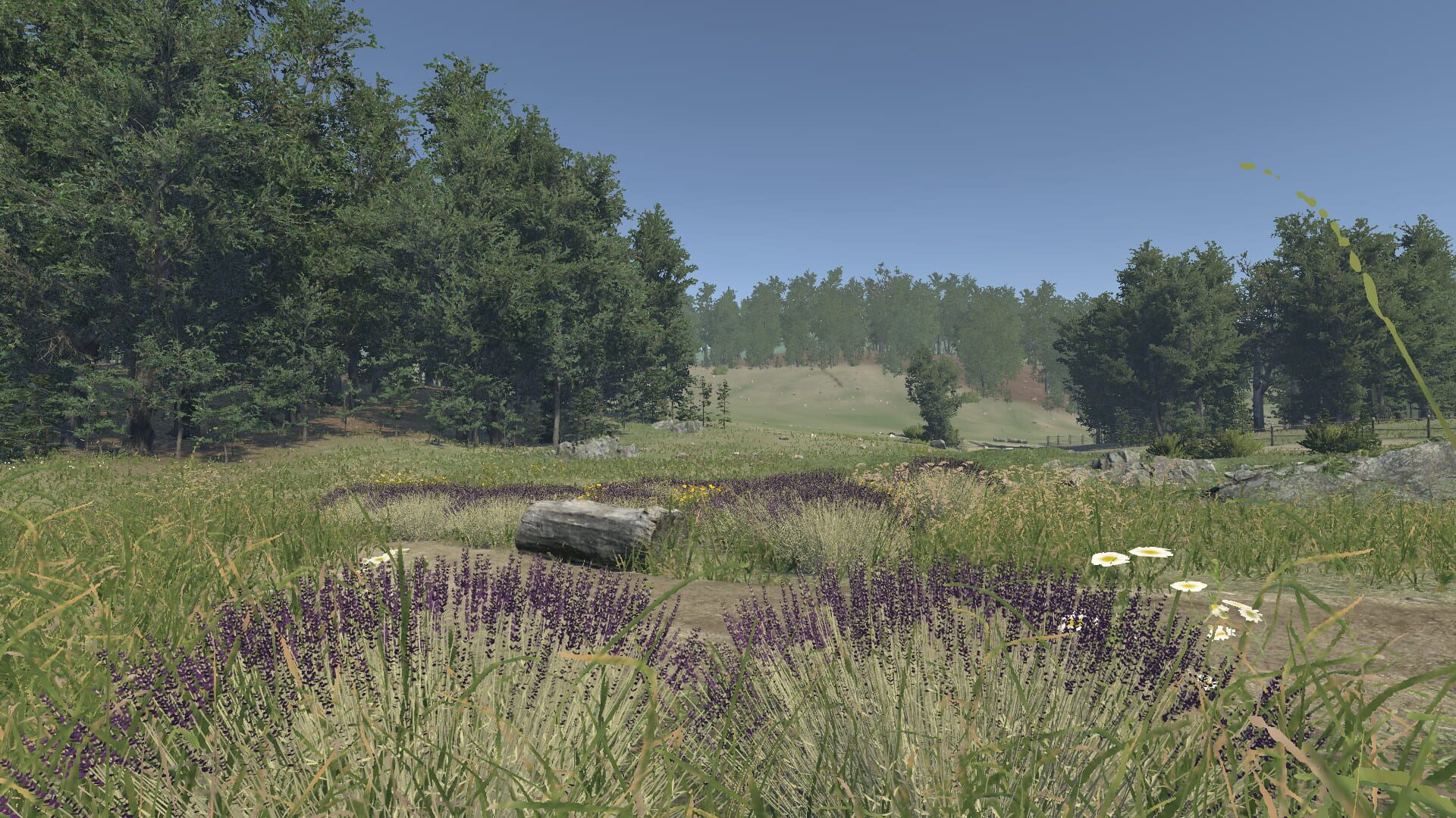 Lavender - Screenshot