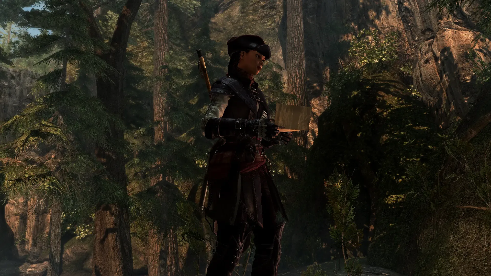 Captura de pantalla - Assassin's Creed IV Black Flag: Aveline