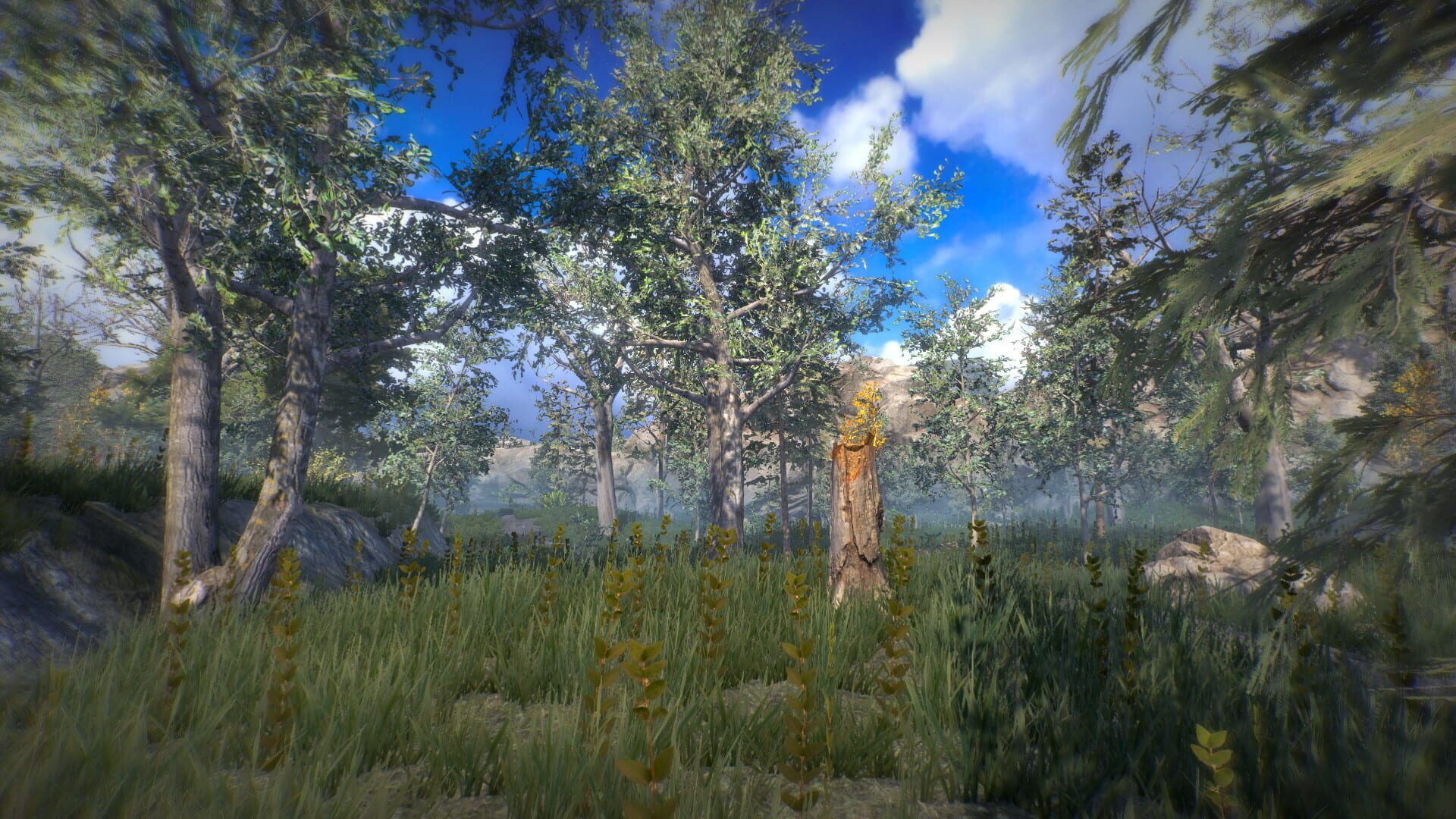 Position - Screenshot