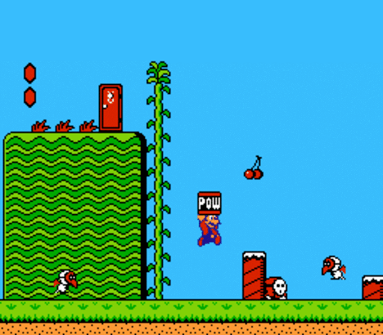 Super Mario Bros. 2 screenshot