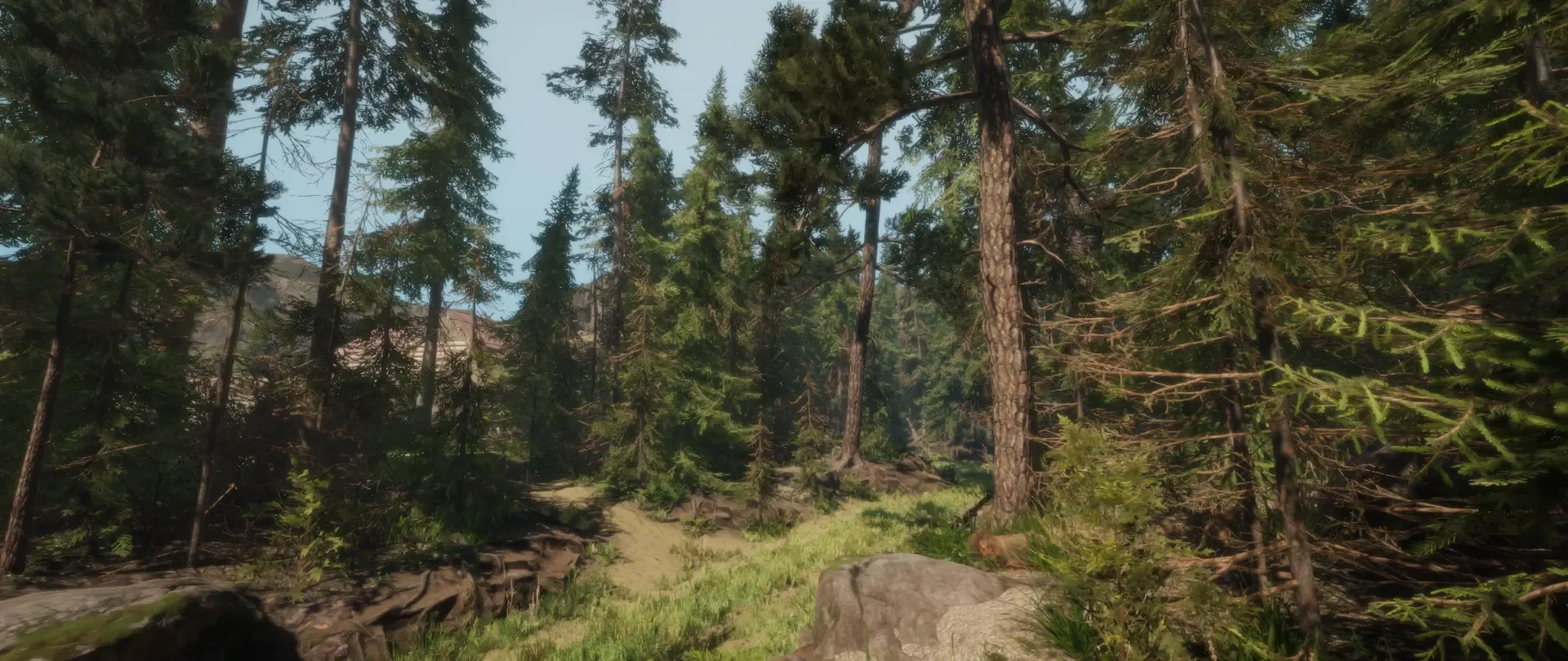 A Walk in the Woods: VR