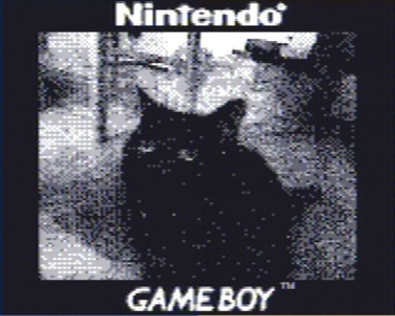 Captura de pantalla - Game Boy Camera