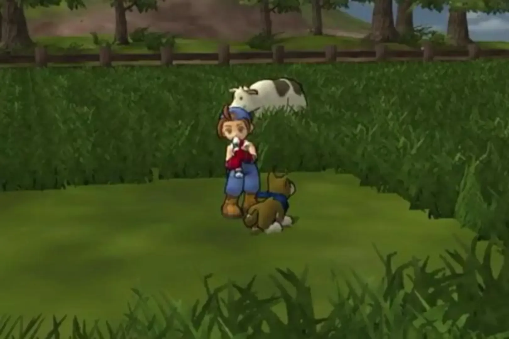 Thumbnail 6