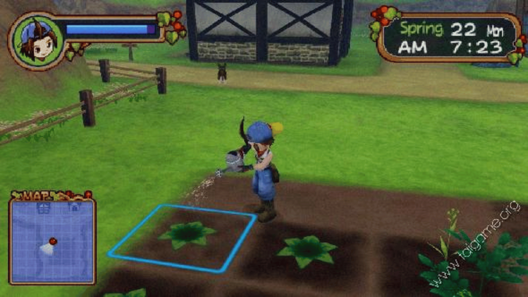 Harvest Moon: Save the Homeland screenshot