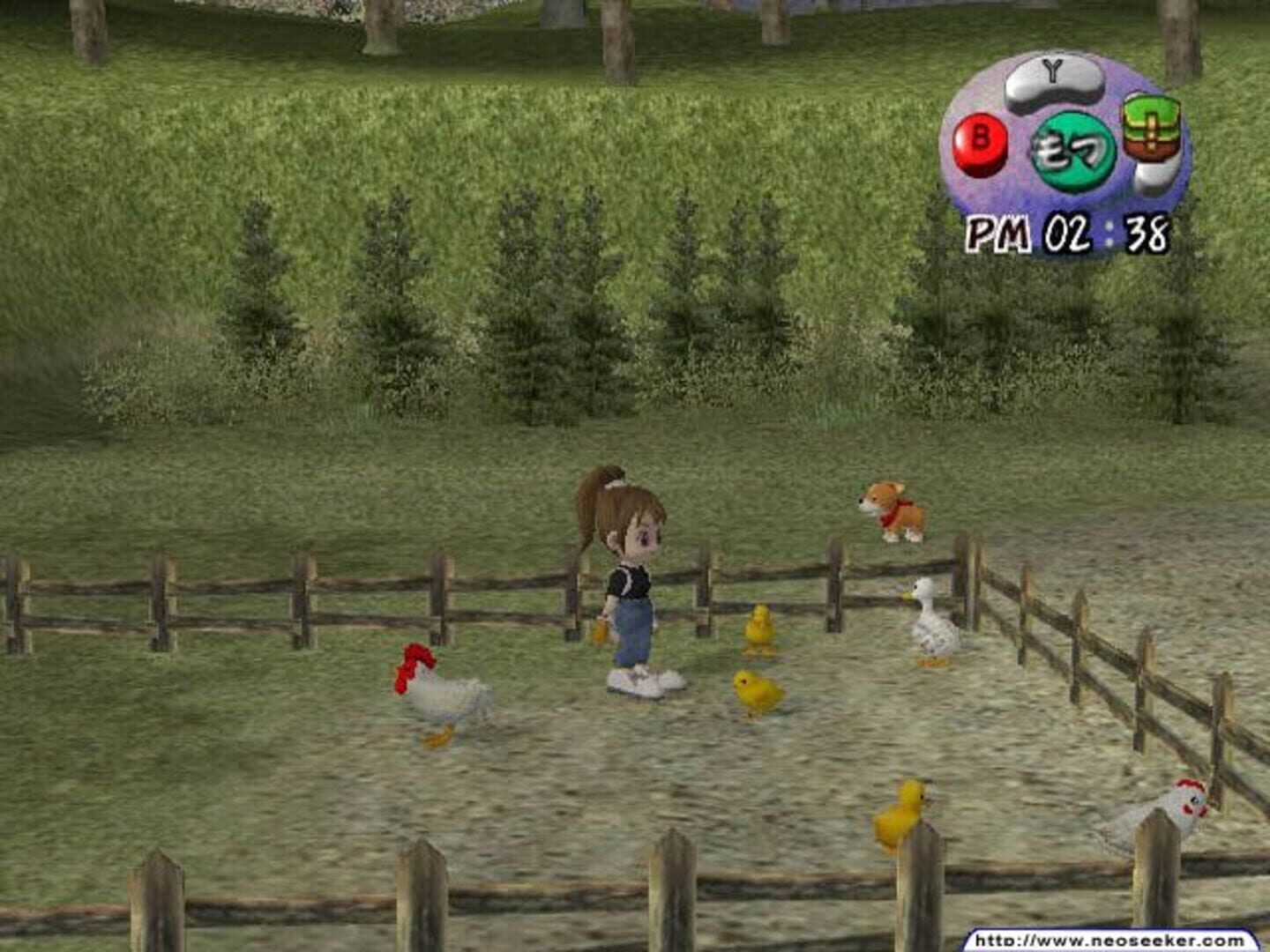 Captura de pantalla - Harvest Moon: Another Wonderful Life