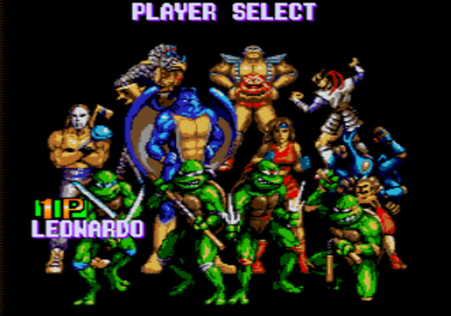 Captura de pantalla - Teenage Mutant Ninja Turtles: Tournament Fighters