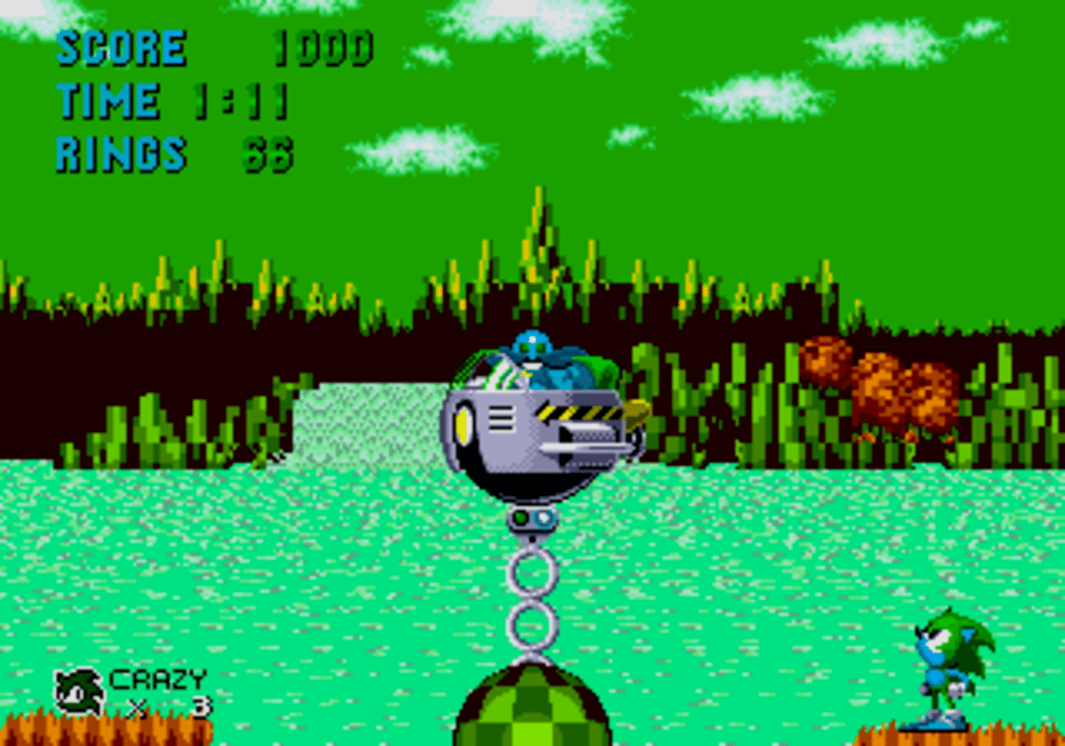 Crazy the Hedgehog screenshot