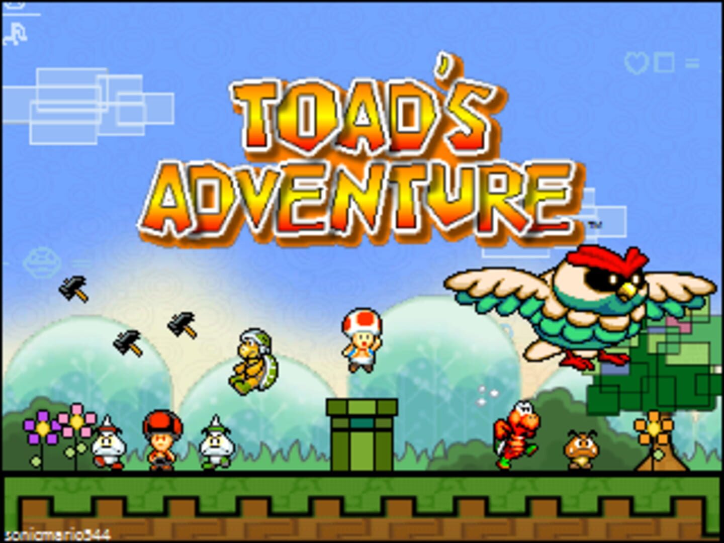 Toad's Adventure