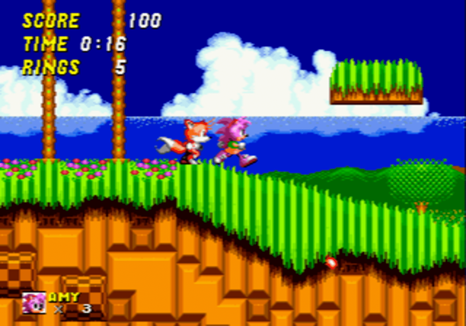 Amy Rose in Sonic the Hedgehog 2 screenshot