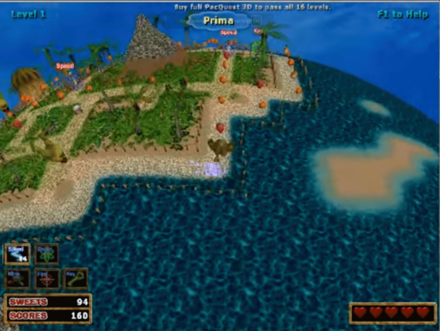 Pac Quest 3D (2004)