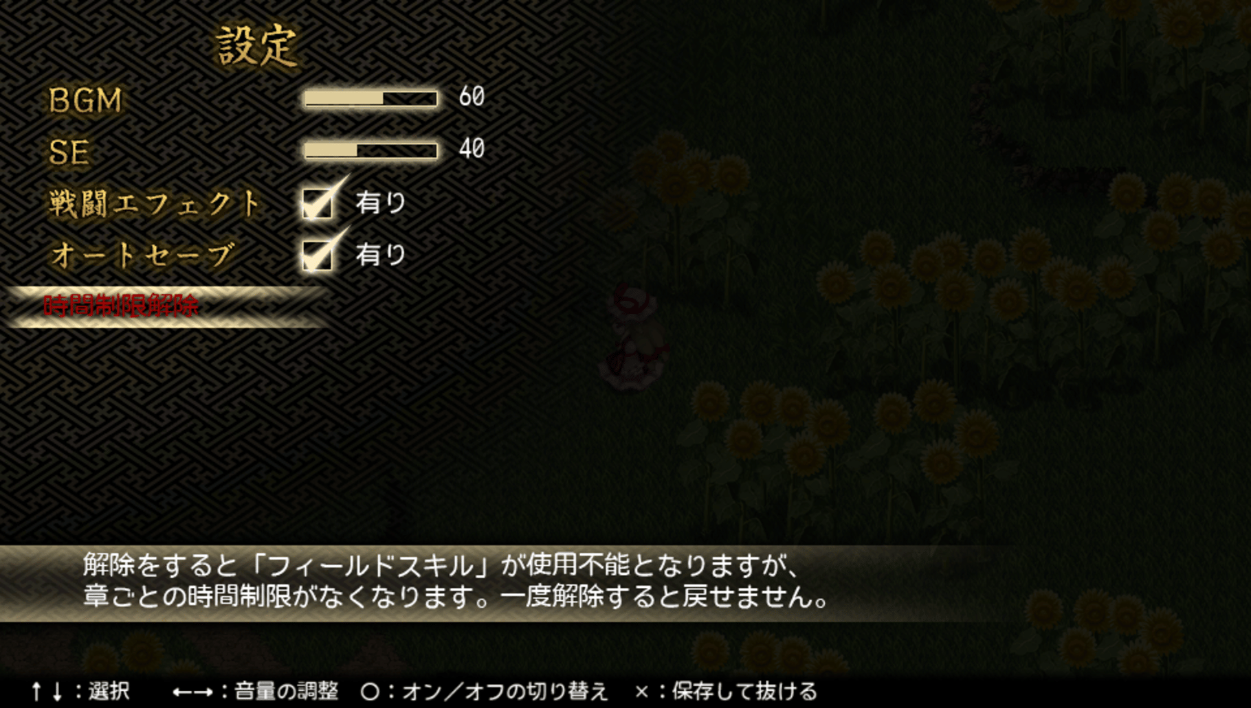 Touhou Genso Maroku W: The Devil of Decline screenshot