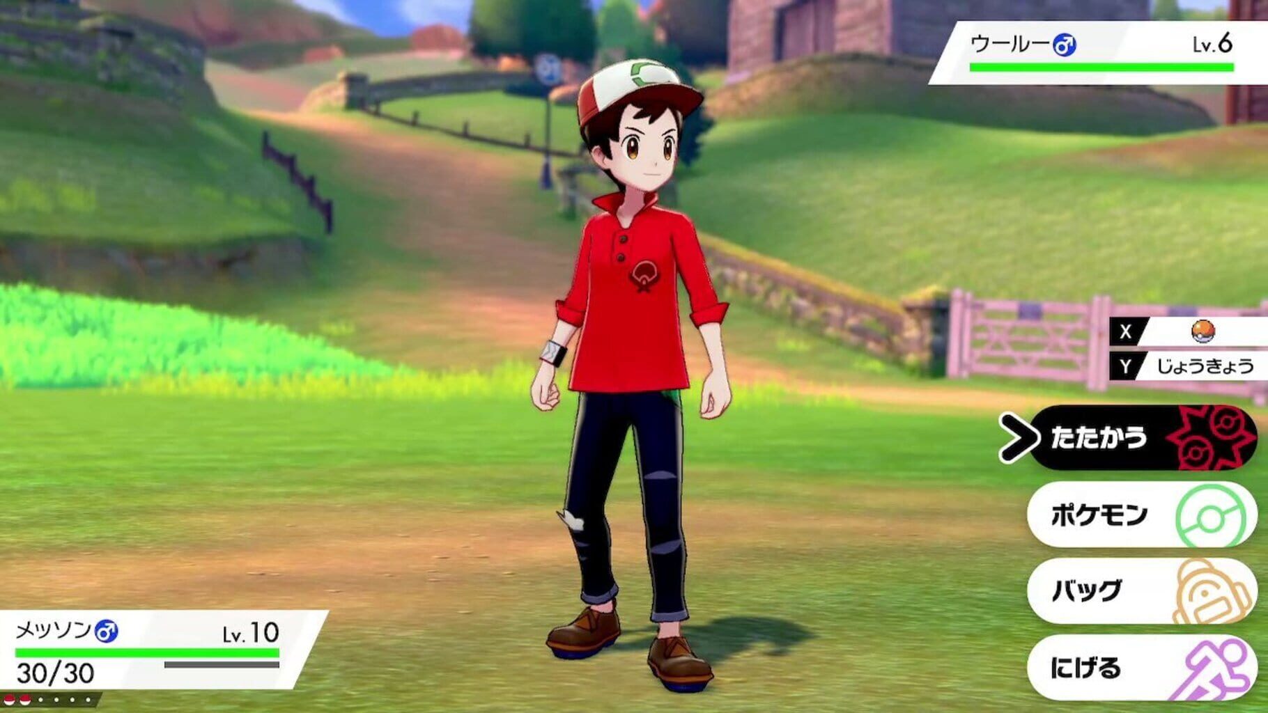 Captura de pantalla - Pokémon Sword Expansion Pass