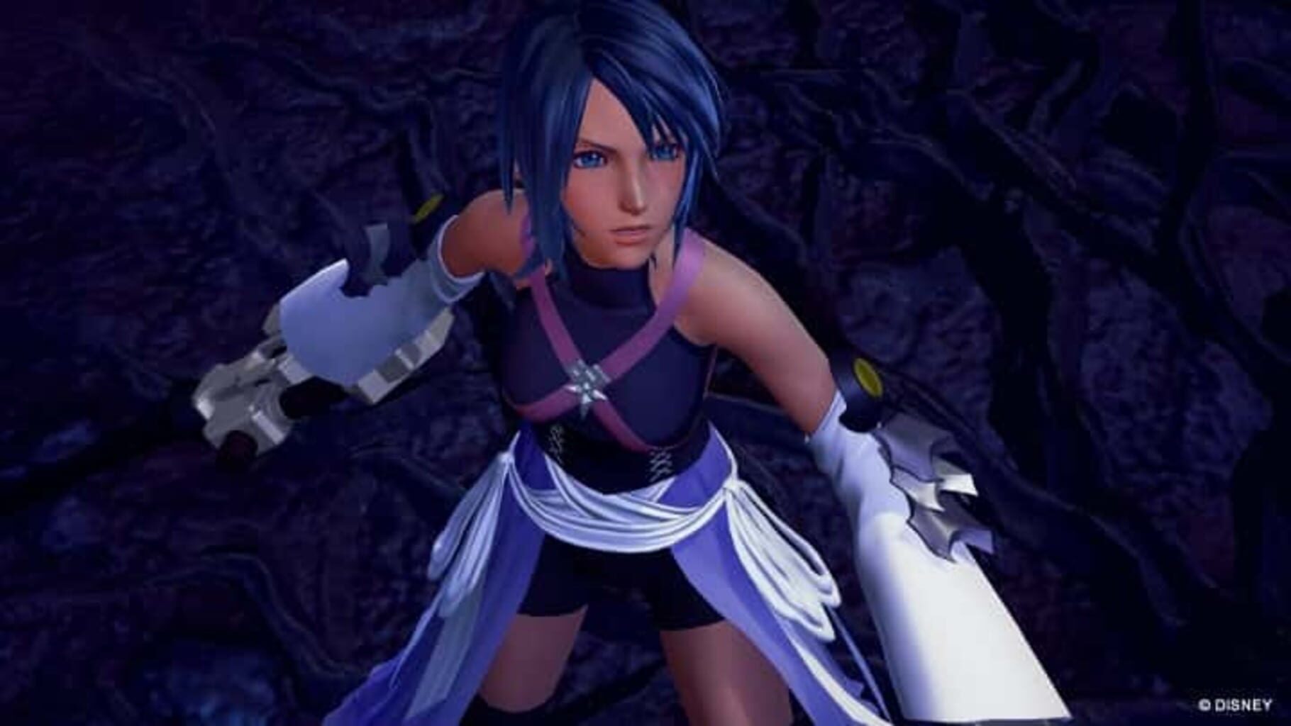 Captura de pantalla - Kingdom Hearts HD 2.8 Final Chapter Prologue: Limited Edition