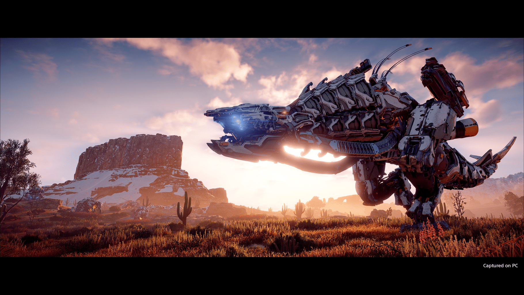 Horizon Zero Dawn: Complete Edition screenshot