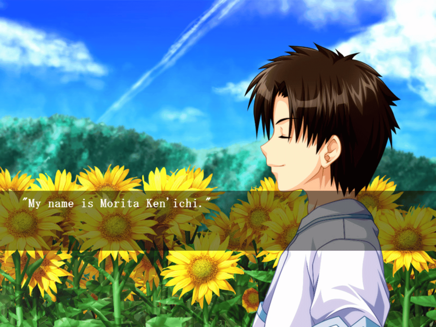 Sharin no Kuni: The Girl Among the Sunflowers screenshot