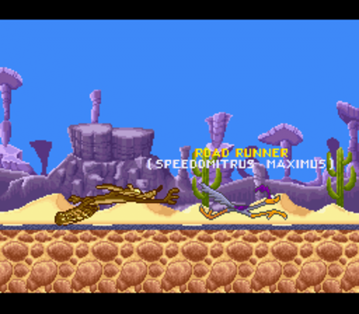 Road Runner's Death Valley Rally screenshot