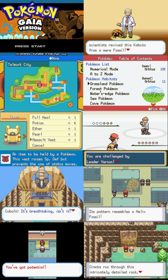 Pokémon Gaia Version