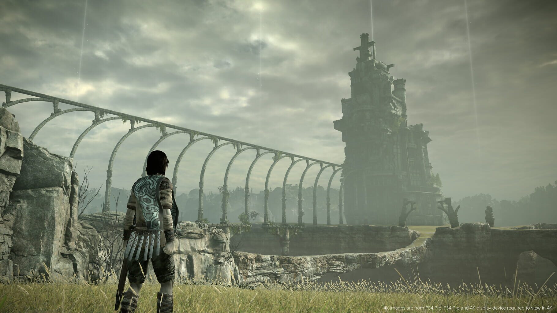 Captura de pantalla - Shadow of the Colossus: Special Edition