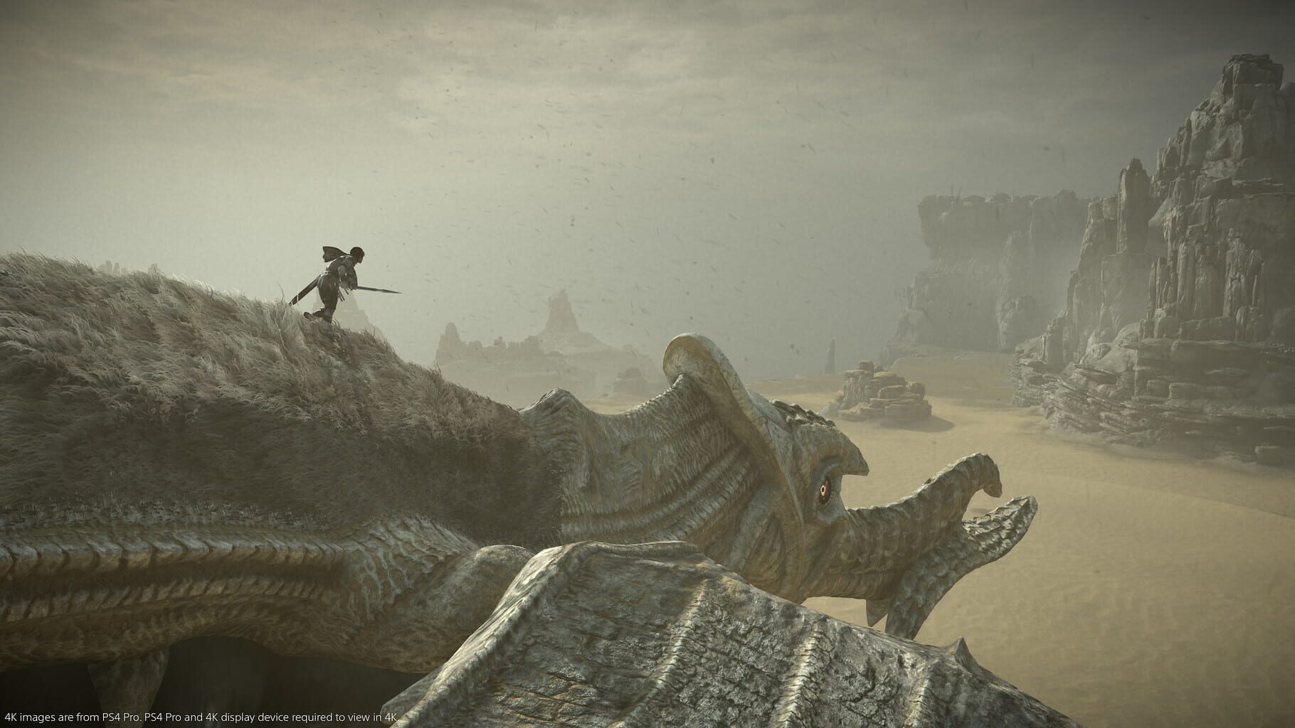 Captura de pantalla - Shadow of the Colossus: Special Edition