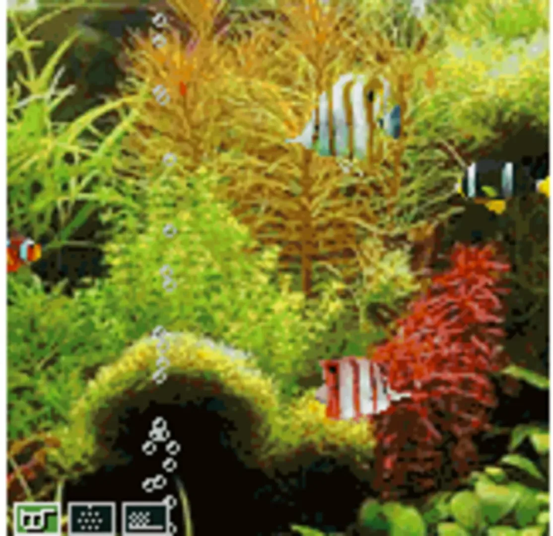Pocket Aquarium
