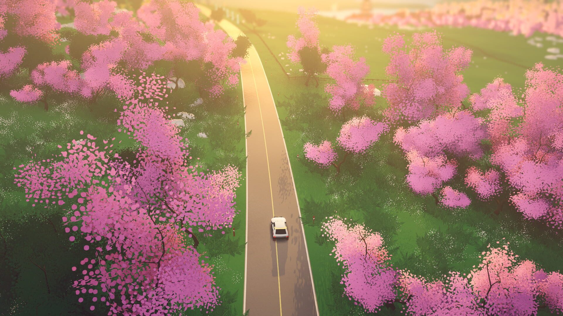 Art of Rally screenshot