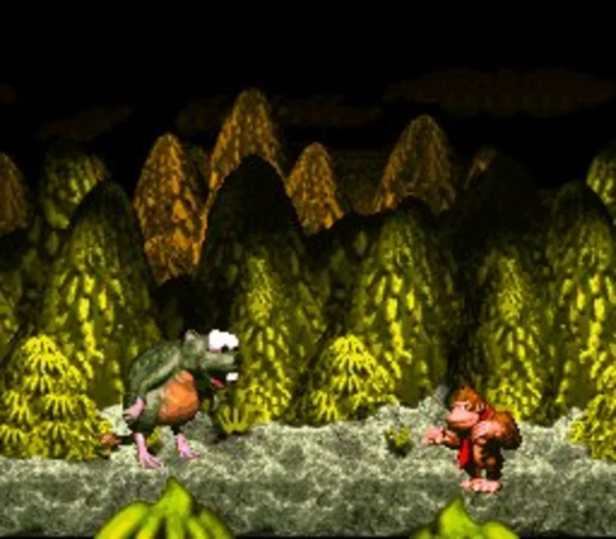 Captura de pantalla - Donkey Kong Country