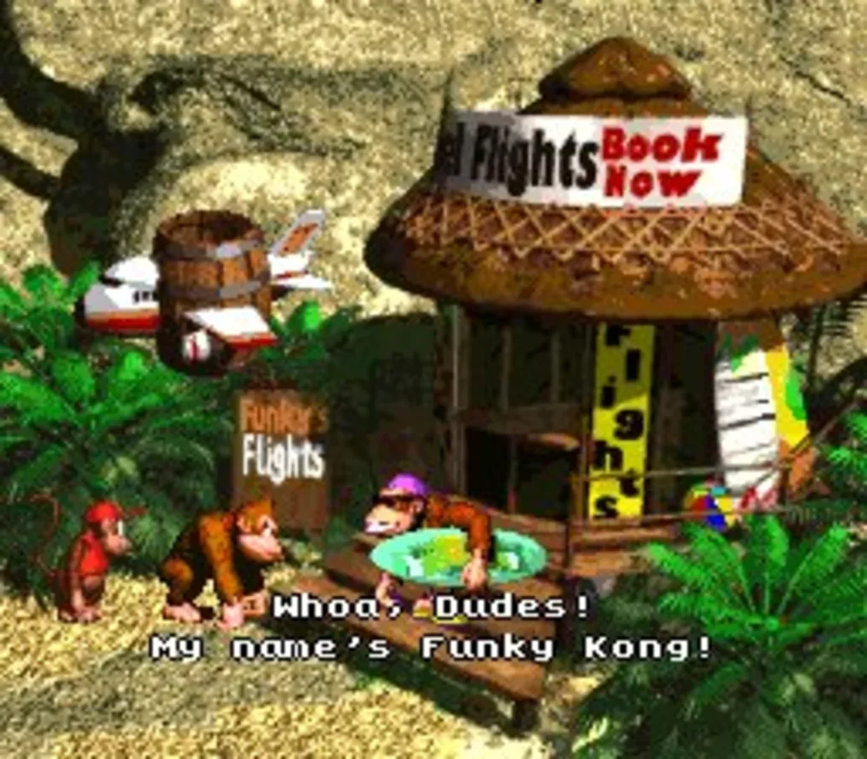 Captura de pantalla - Donkey Kong Country