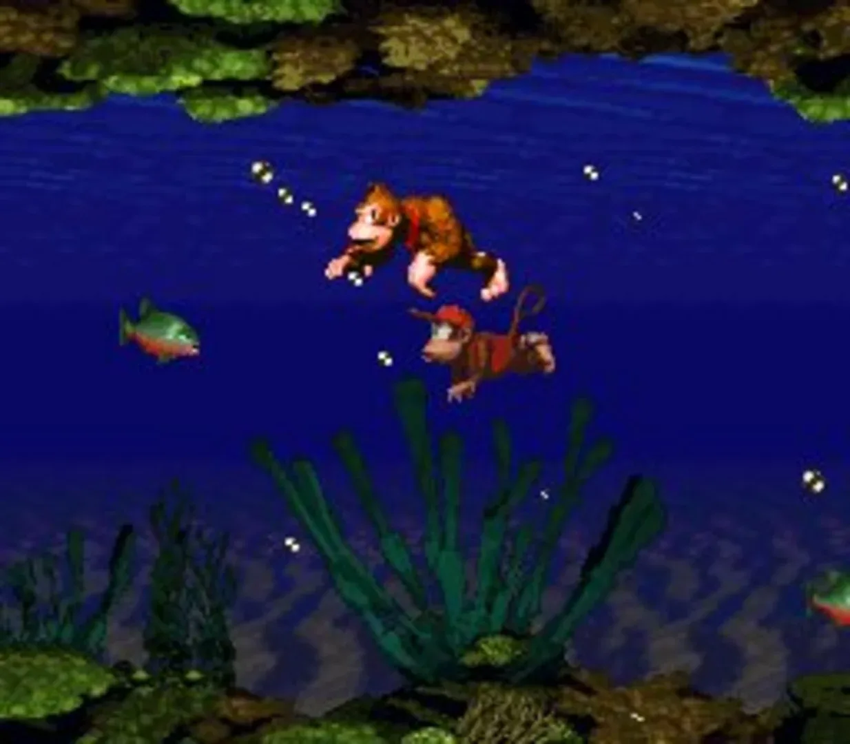 Captura de pantalla - Donkey Kong Country