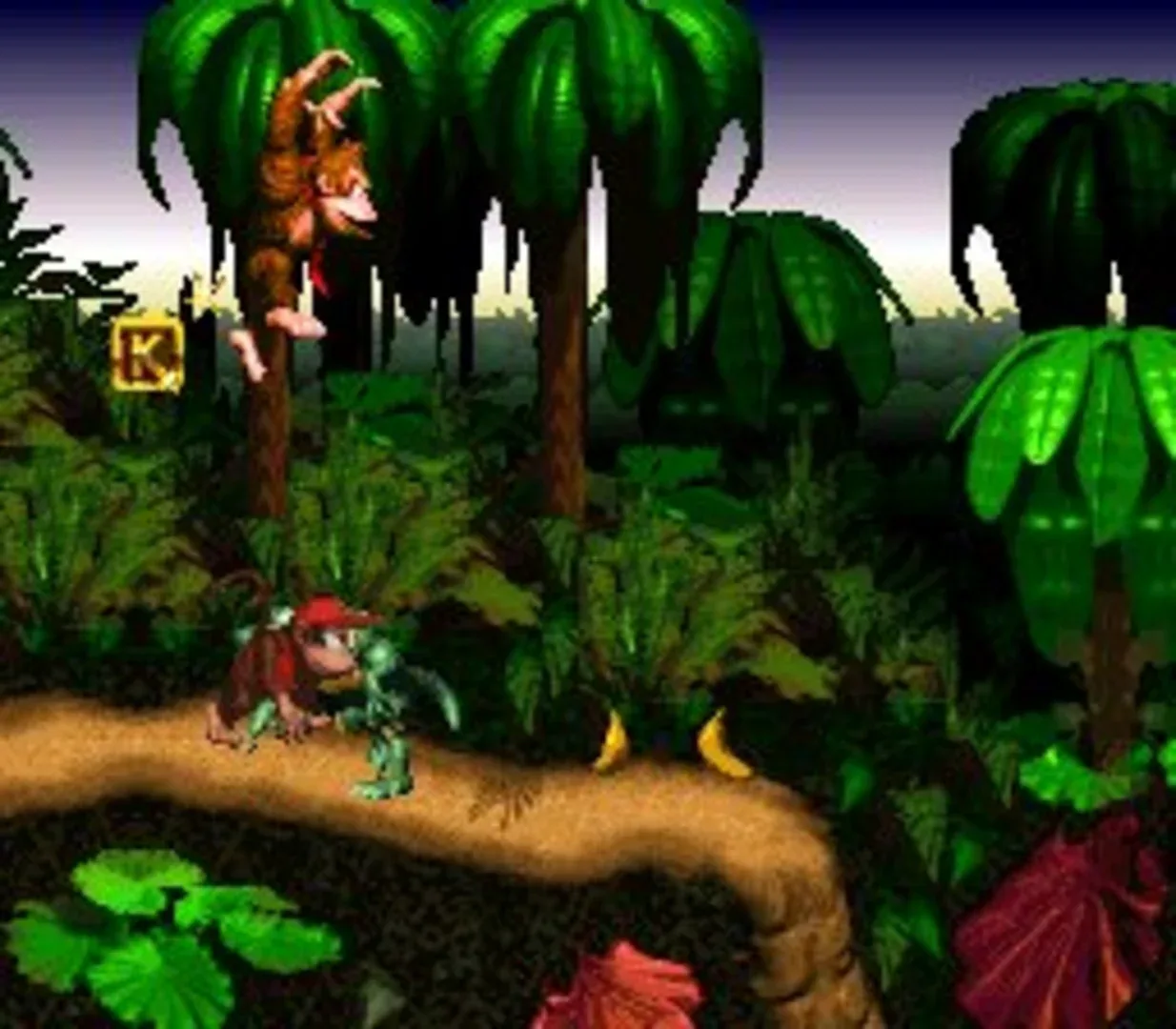 Captura de pantalla - Donkey Kong Country