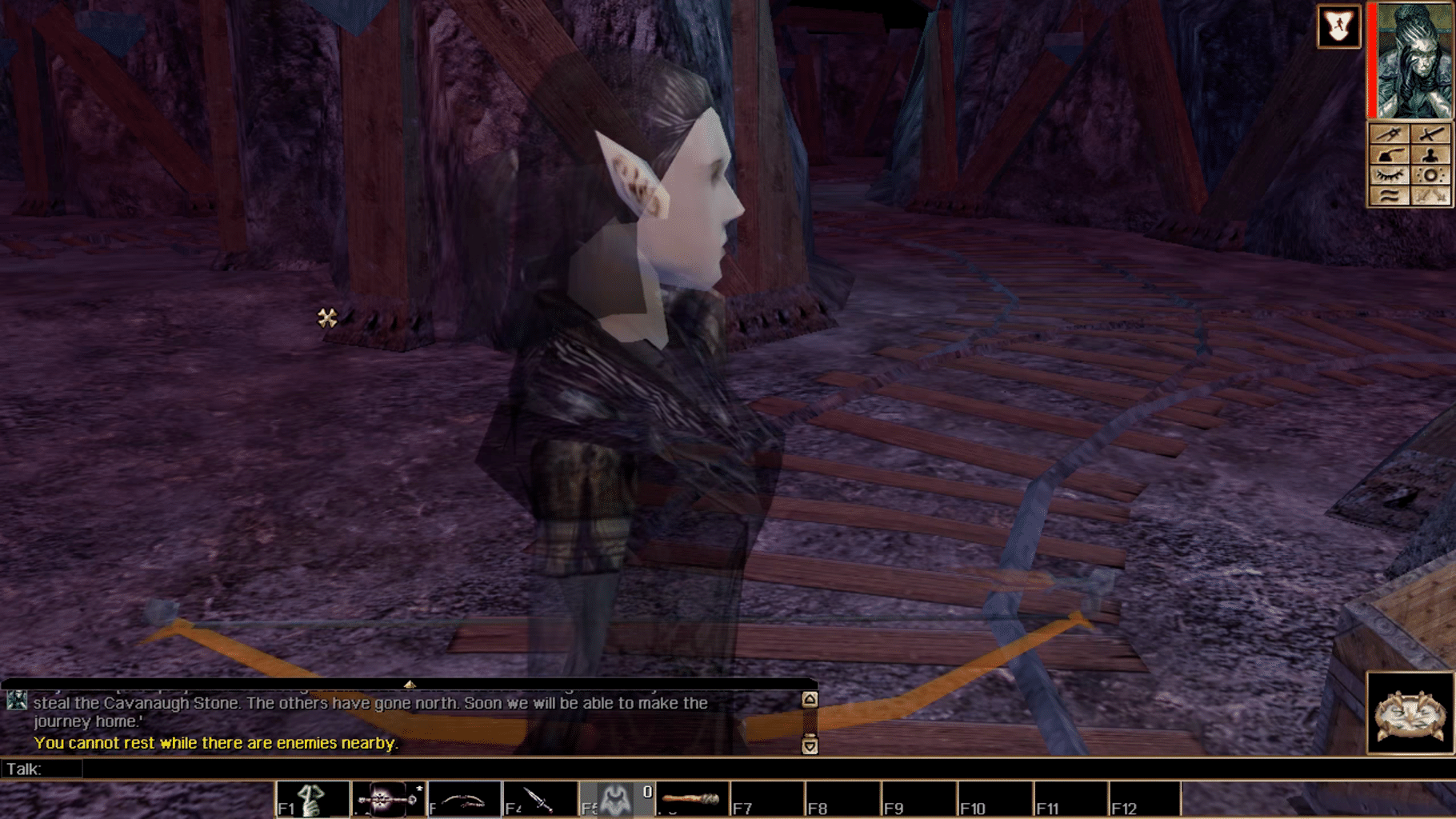 Neverwinter Nights: Witch's Wake screenshot