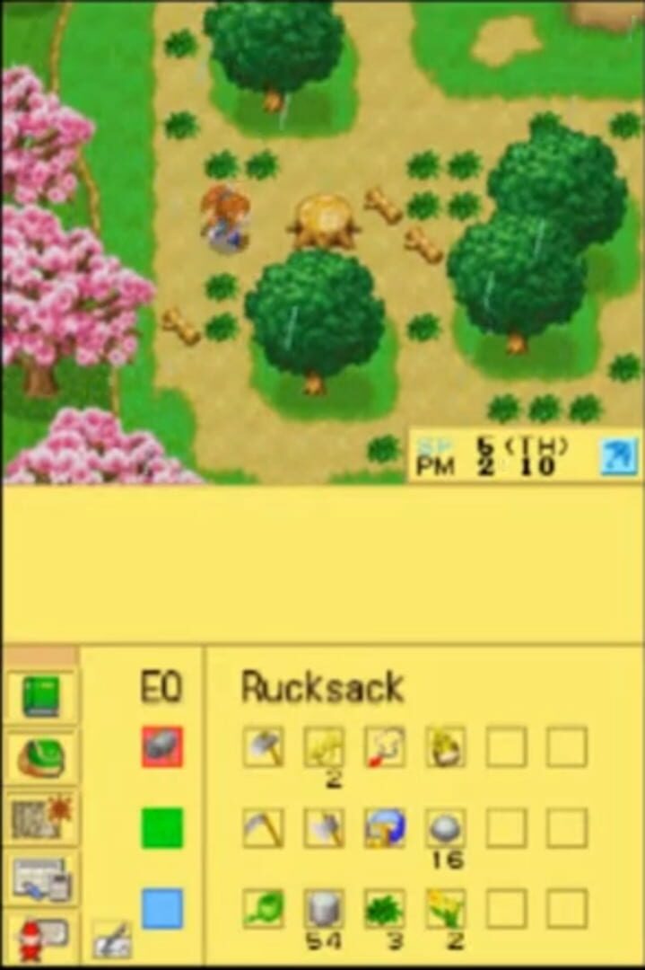 Captura de pantalla - Harvest Moon DS Cute