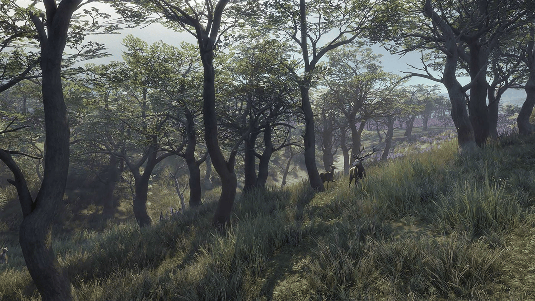 TheHunter: Call of the Wild - 2021 Edition screenshot