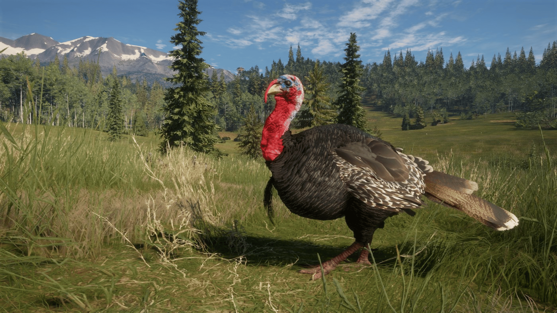 TheHunter: Call of the Wild - 2021 Edition screenshot