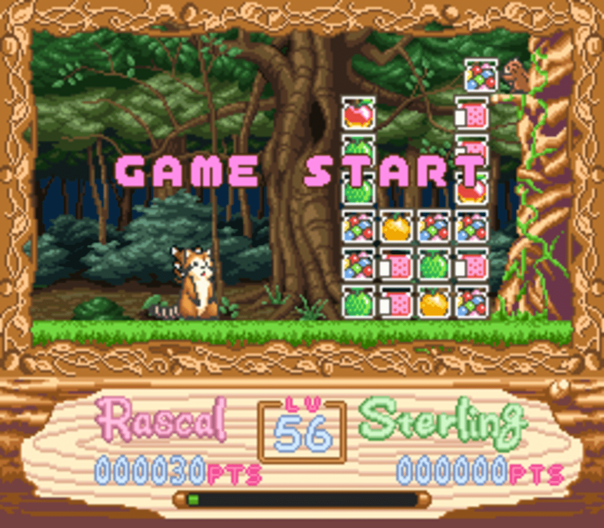 Raccoon Rascal screenshot