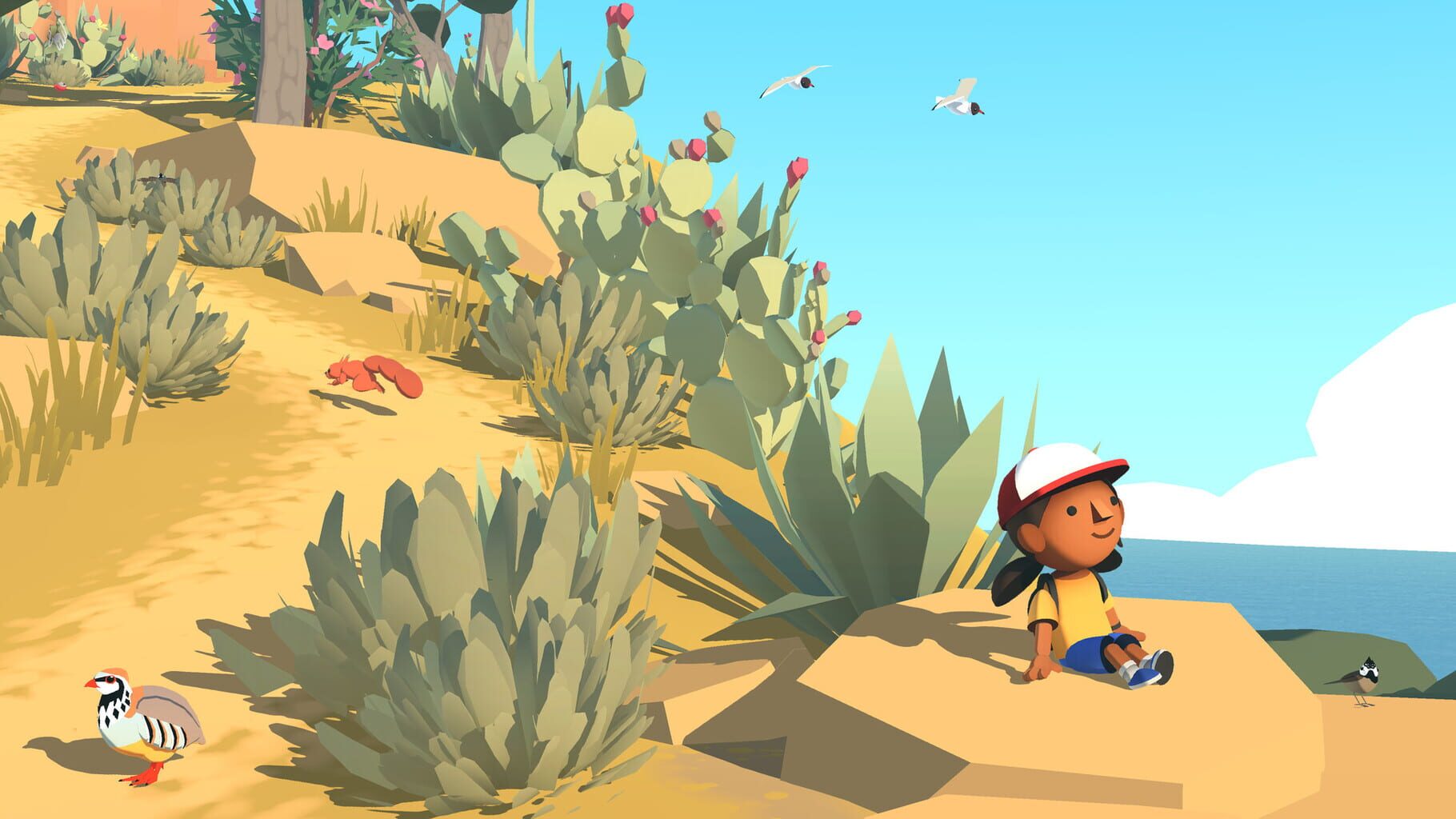 Alba: A Wildlife Adventure screenshots