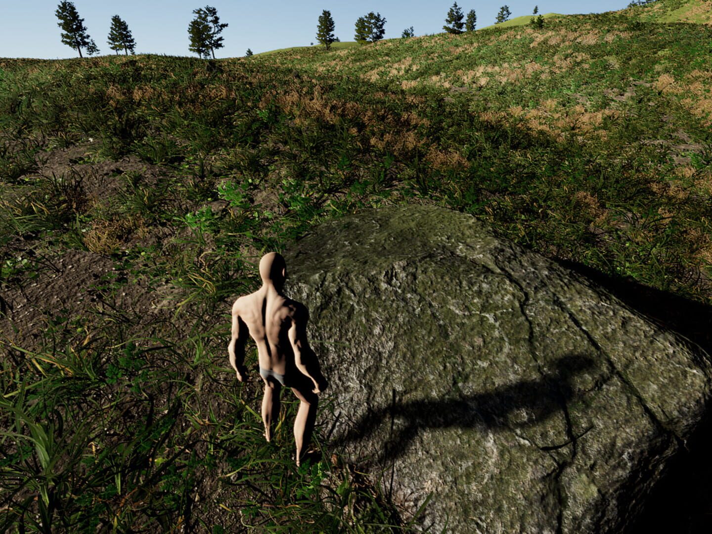 Survival Ascension - Screenshot