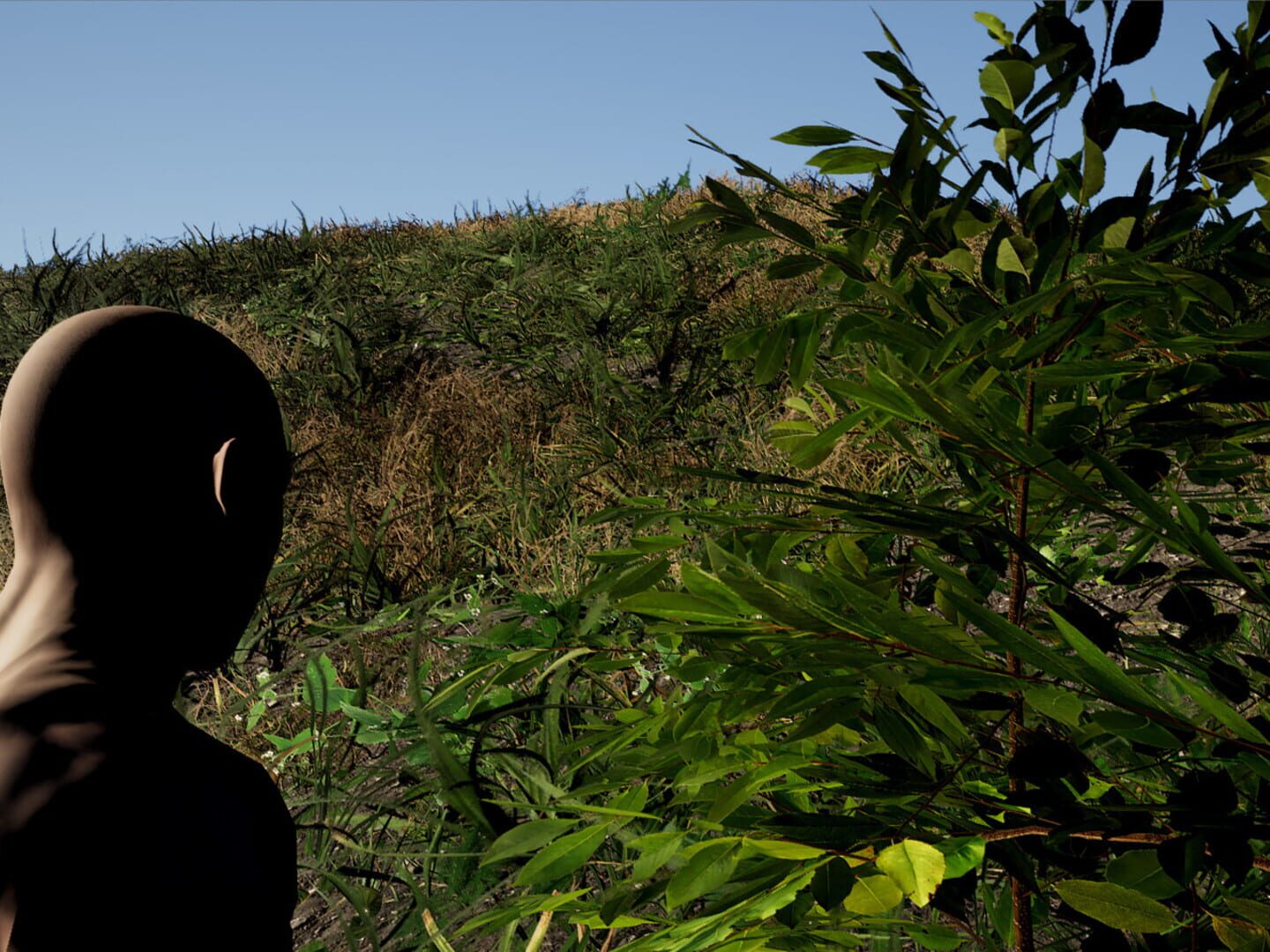 Survival Ascension - Screenshot