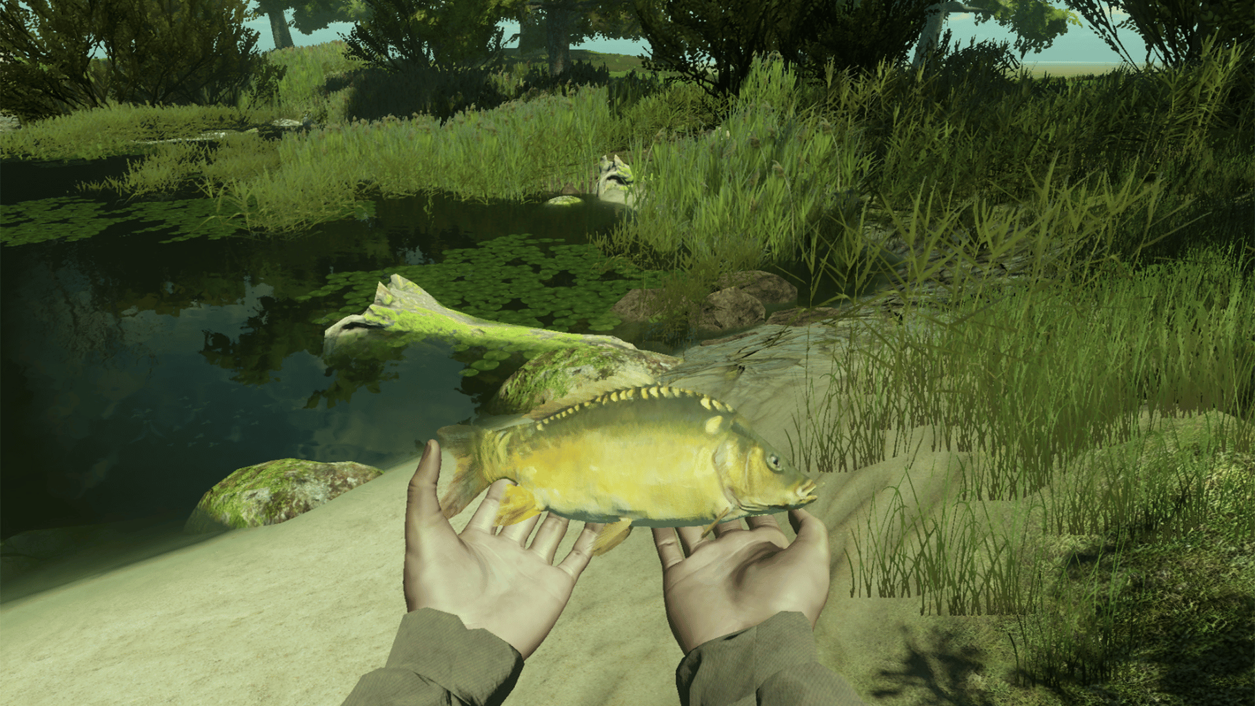 Professional Fishing screenshot