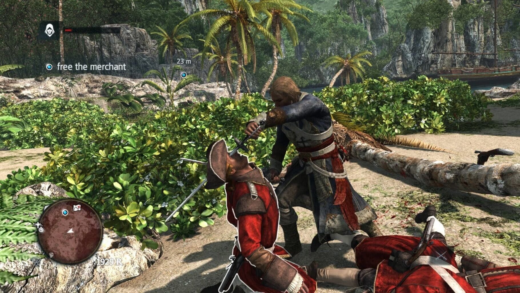 Captura de pantalla - Assassin's Creed IV: Black Flag - Limited Edition