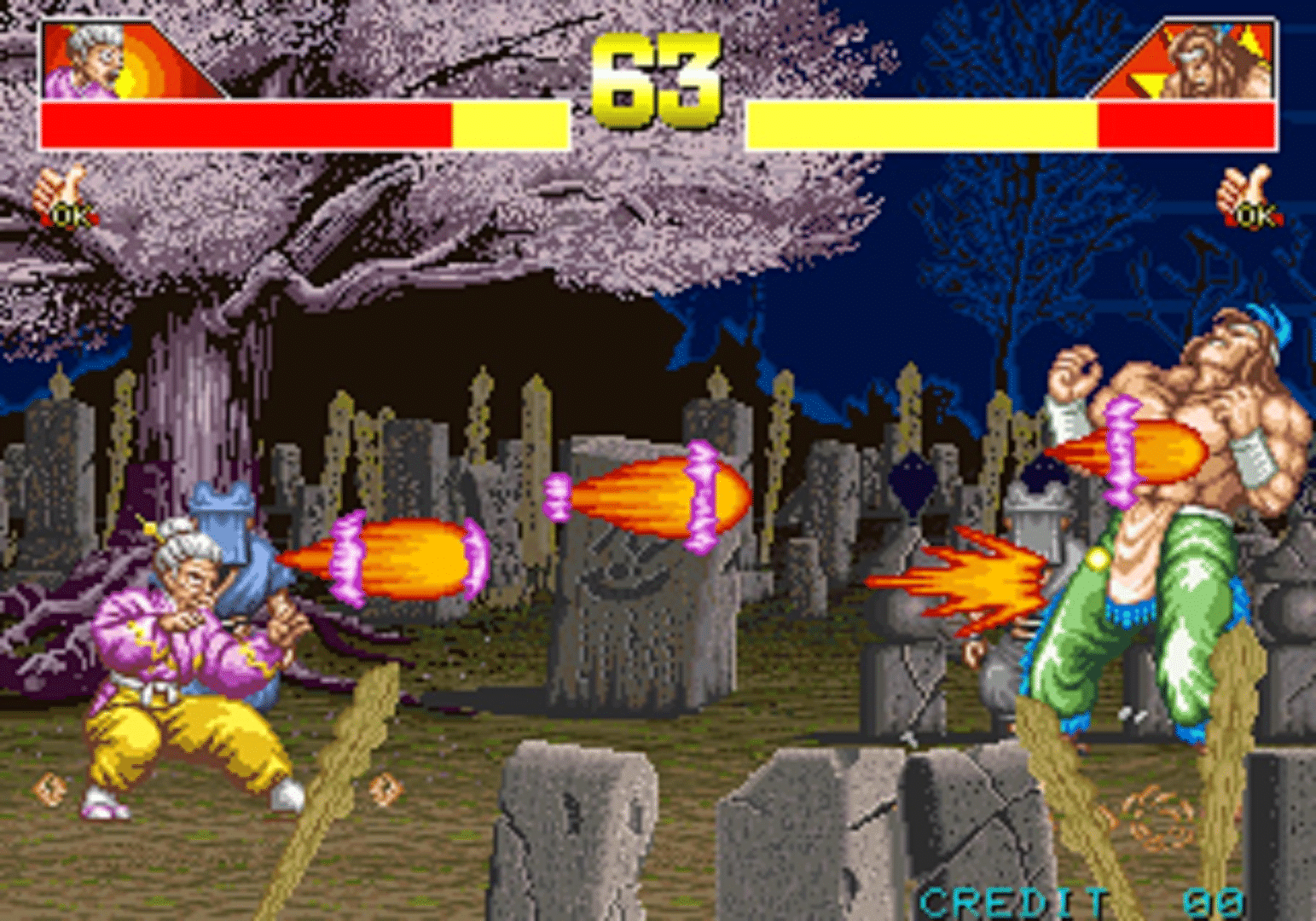 Power Instinct screenshot