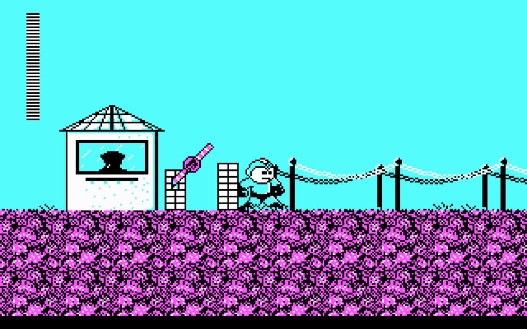 Mega Man screenshot