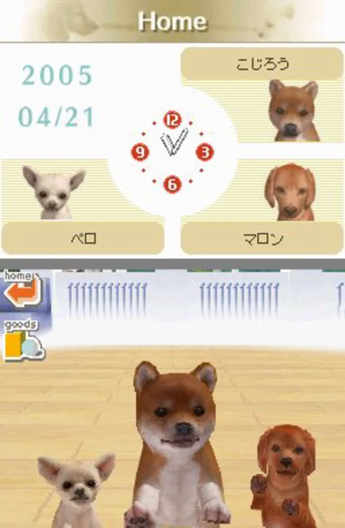 Captura de pantalla - Nintendogs: Dachshund & Friends