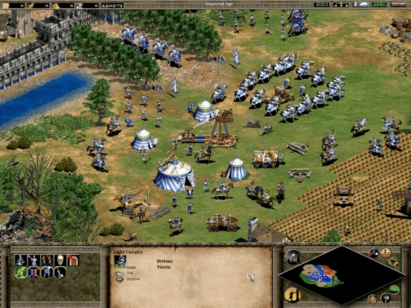 Age of Empires II: Gold Edition screenshot