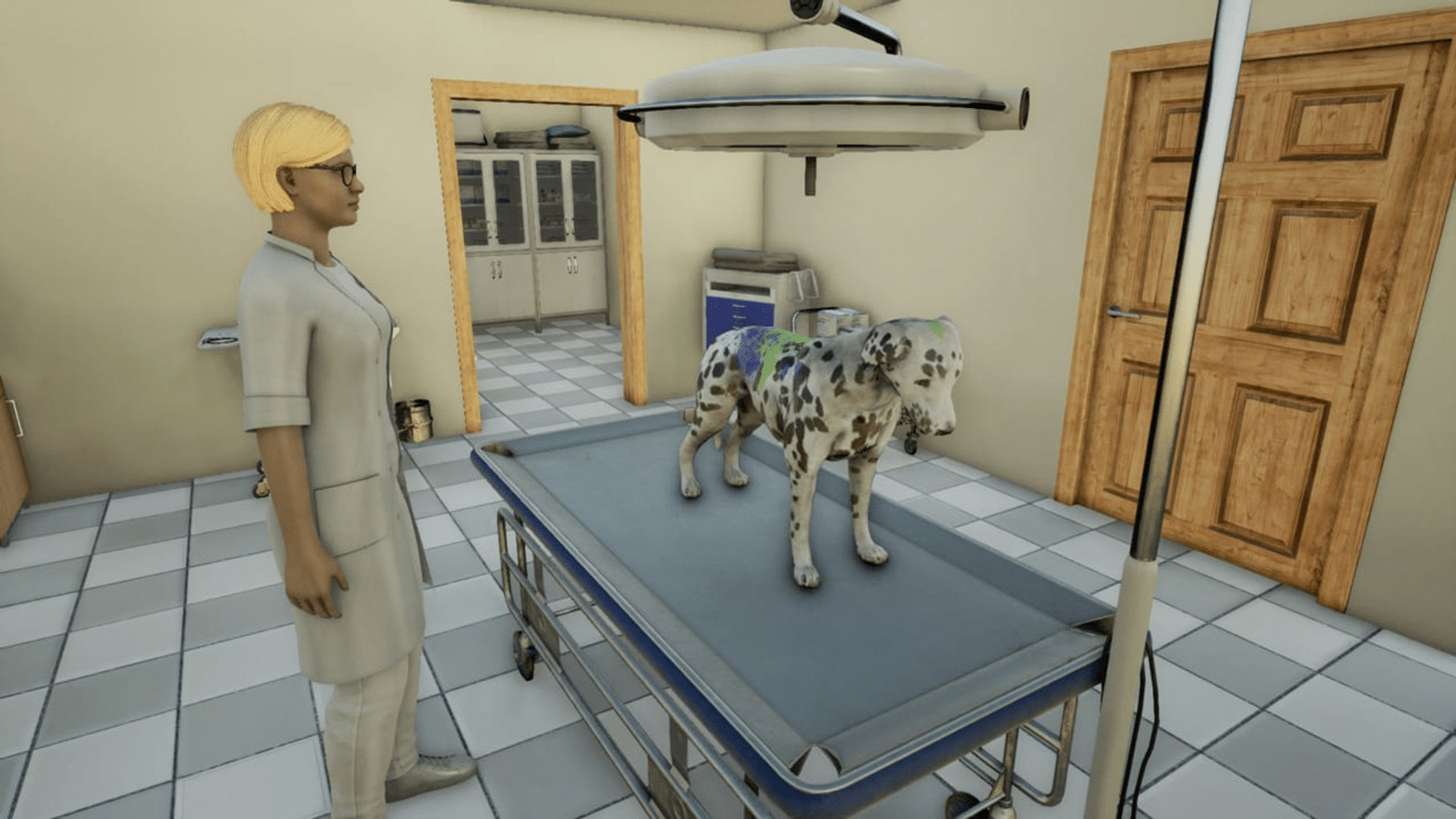 Animal Doctor screenshot