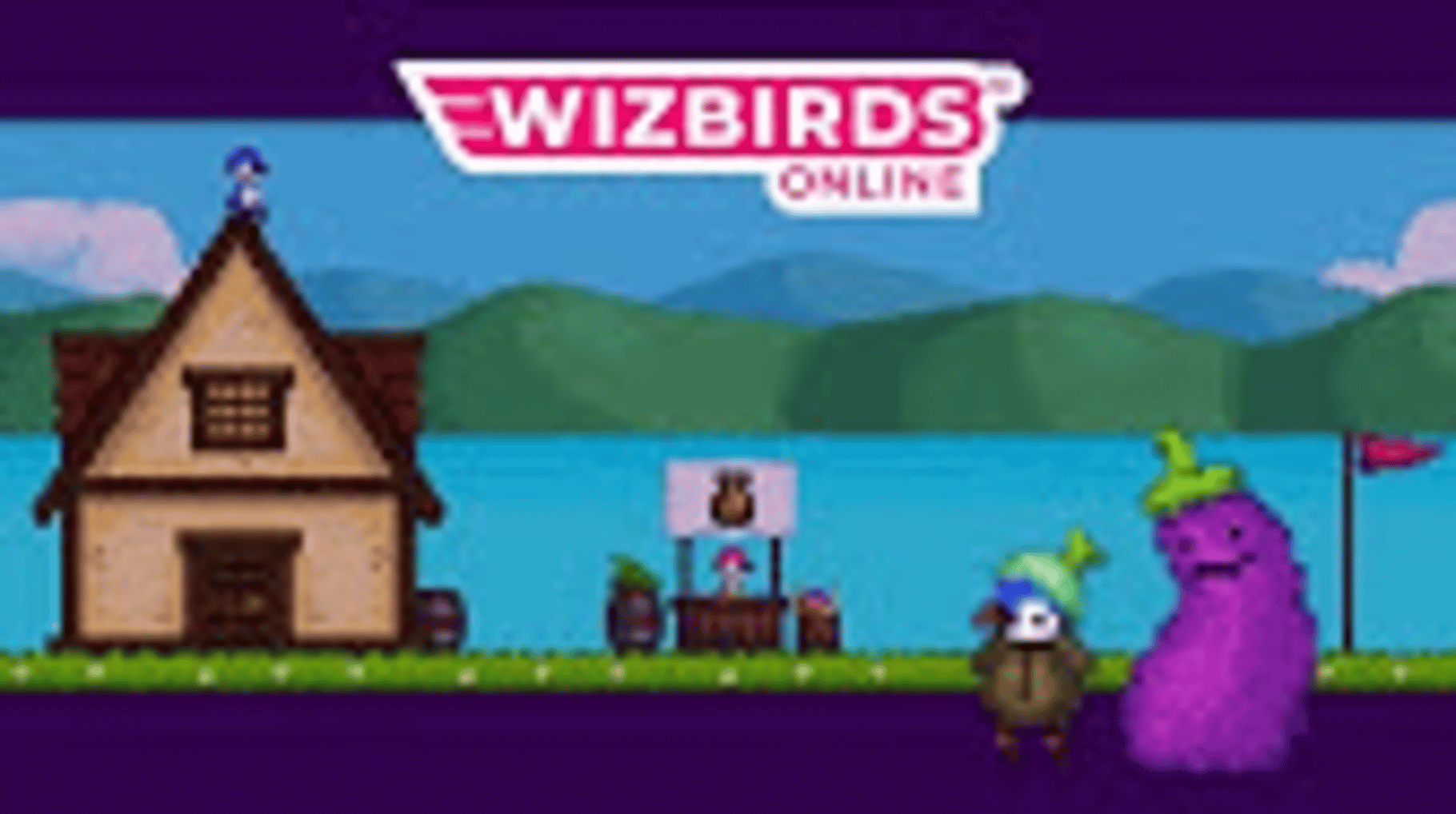 Wizbirds Online screenshot