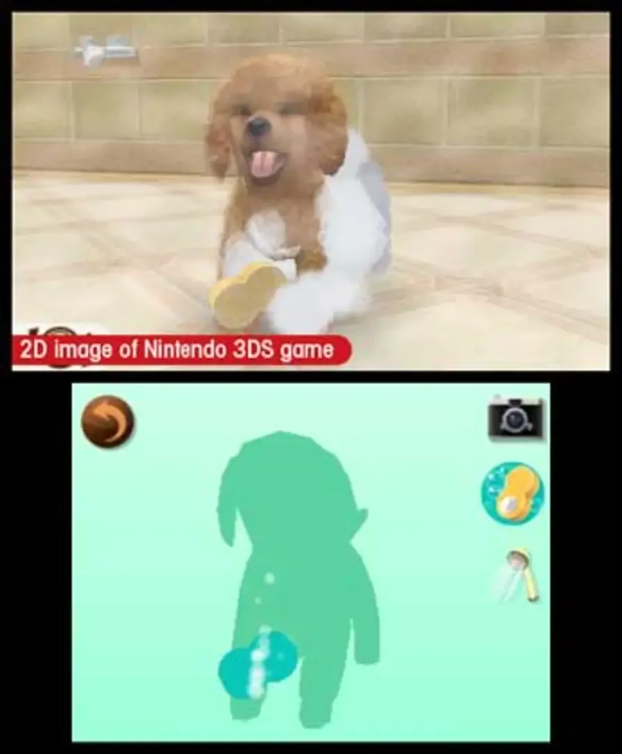 Captura de pantalla - Nintendogs + Cats: Toy Poodle & New Friends