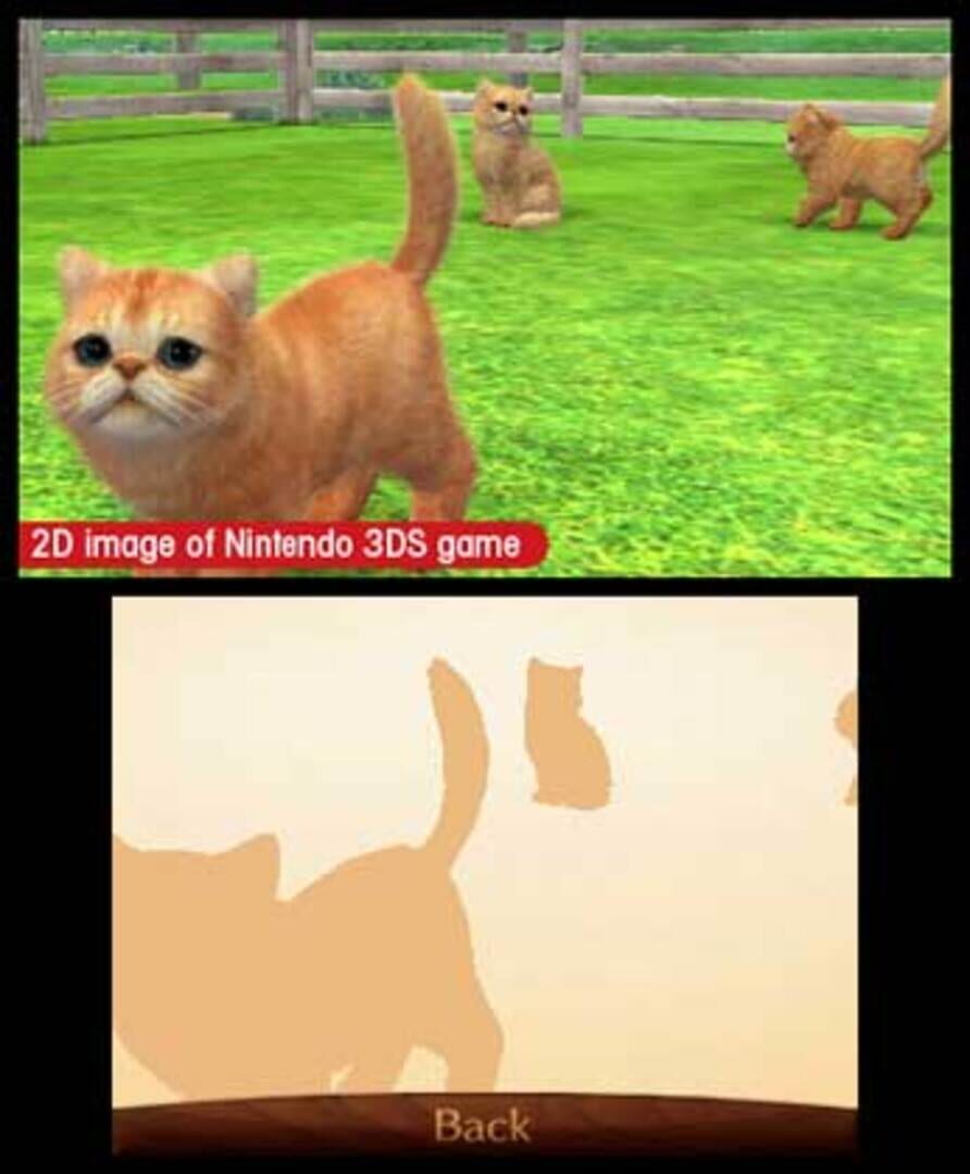 Captura de pantalla - Nintendogs + Cats: Toy Poodle & New Friends