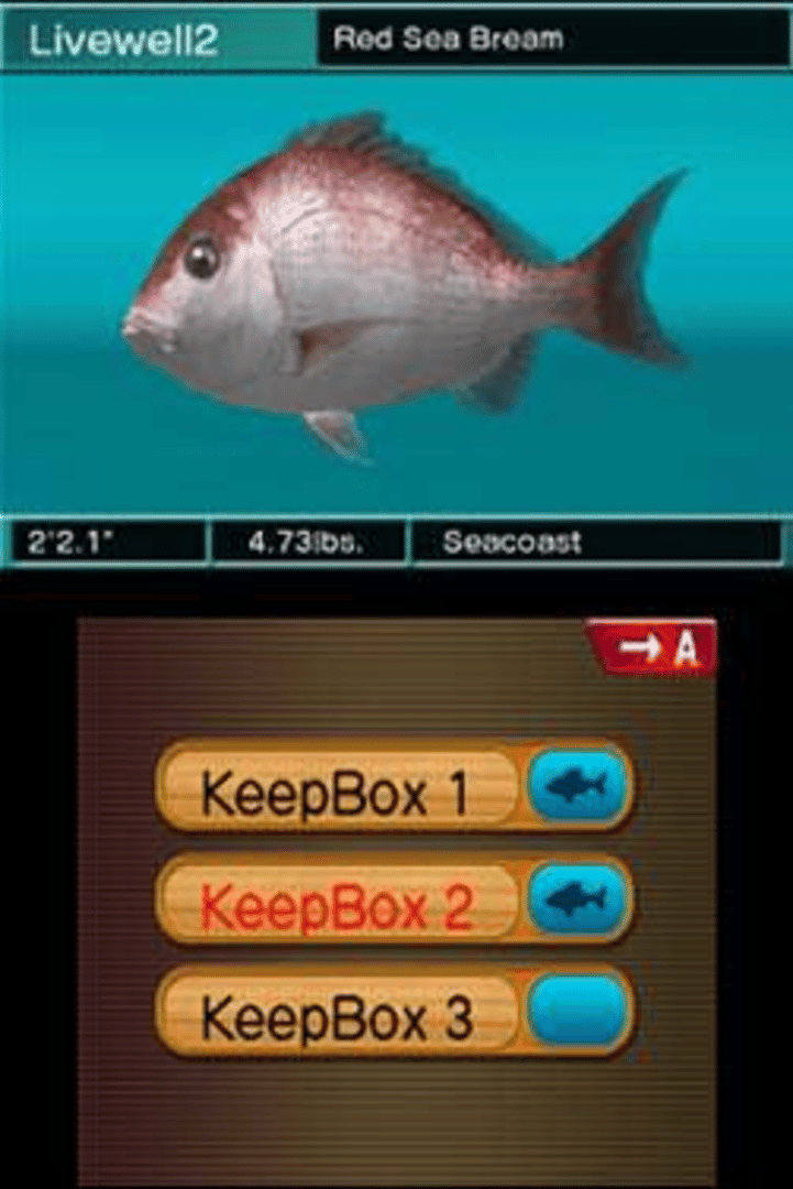 Reel Fishing 3D Paradise screenshot