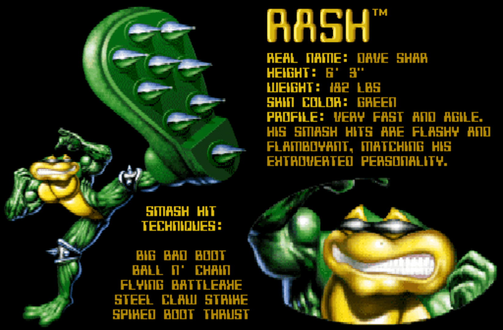 Battletoads screenshot